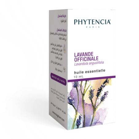 Lavande officinale